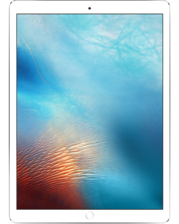 iPad Pro 12.9 inch (2nd Gen.)
